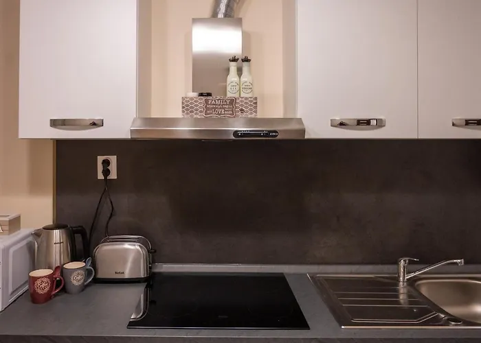 Design 1bdr In Center Szófia